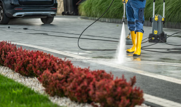 Best Driveway Pressure Washing  in Evansburg, PA